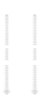 背骨 SEBONE