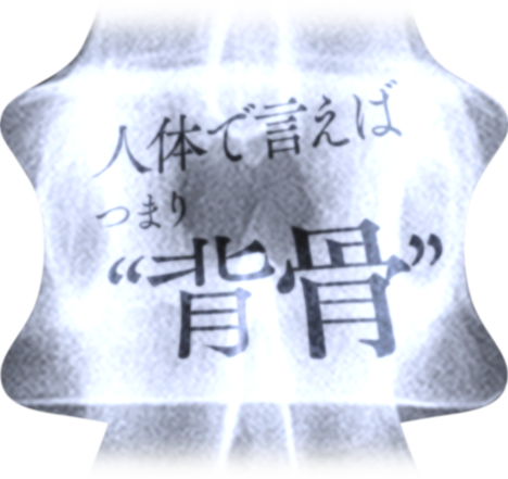 人体で言えばつまり“背骨”