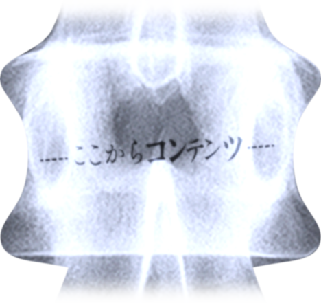 ここからコンテンツ