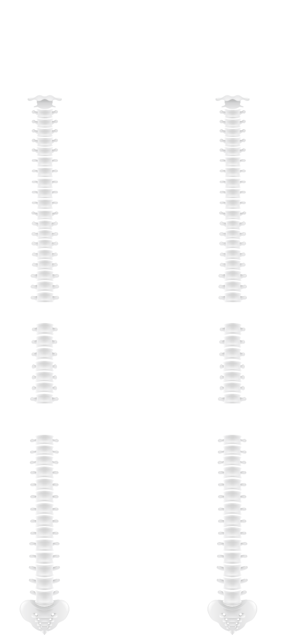背骨 SEBONE